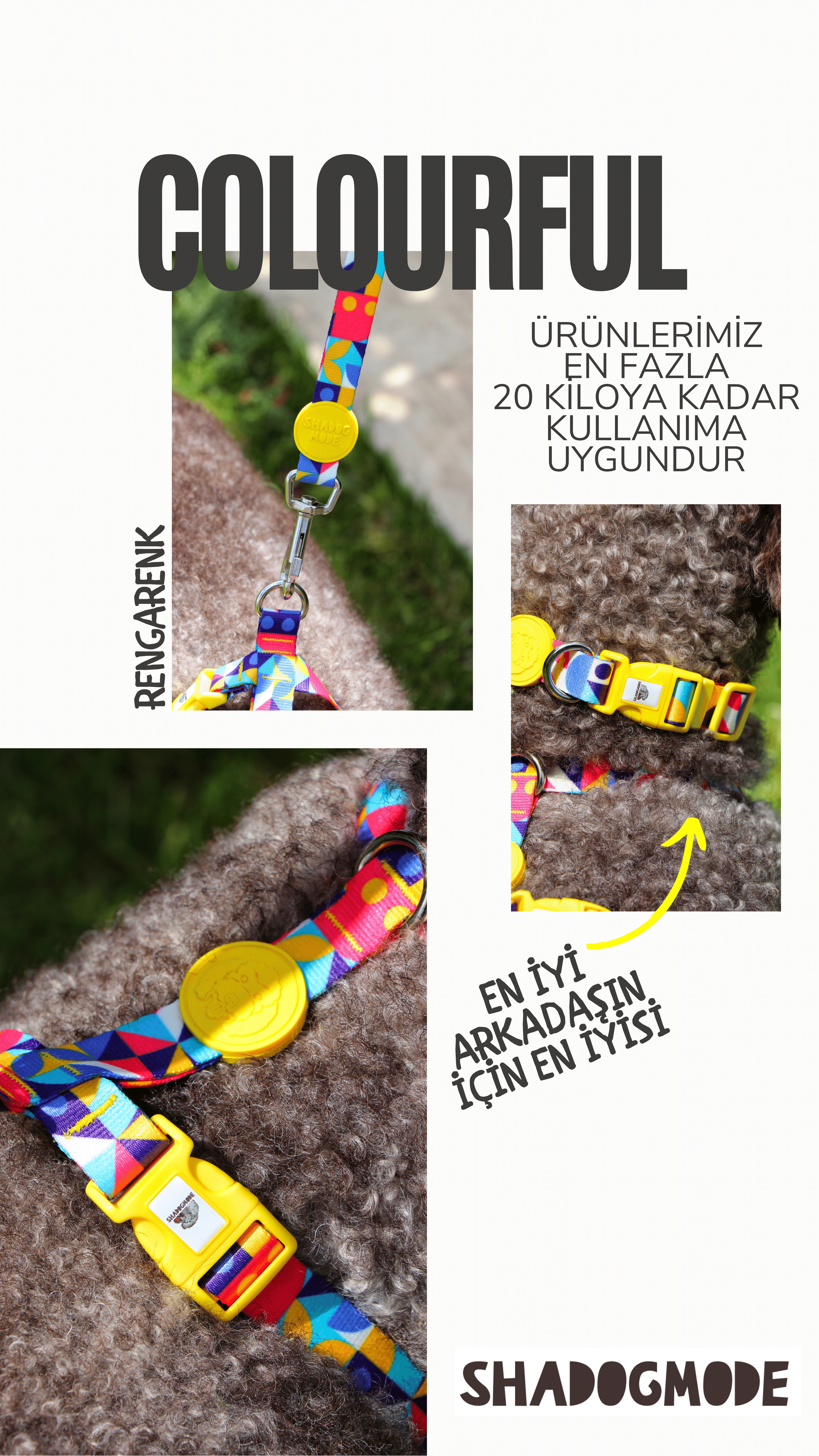 COLOURFUL%20TASMA%20SETİ