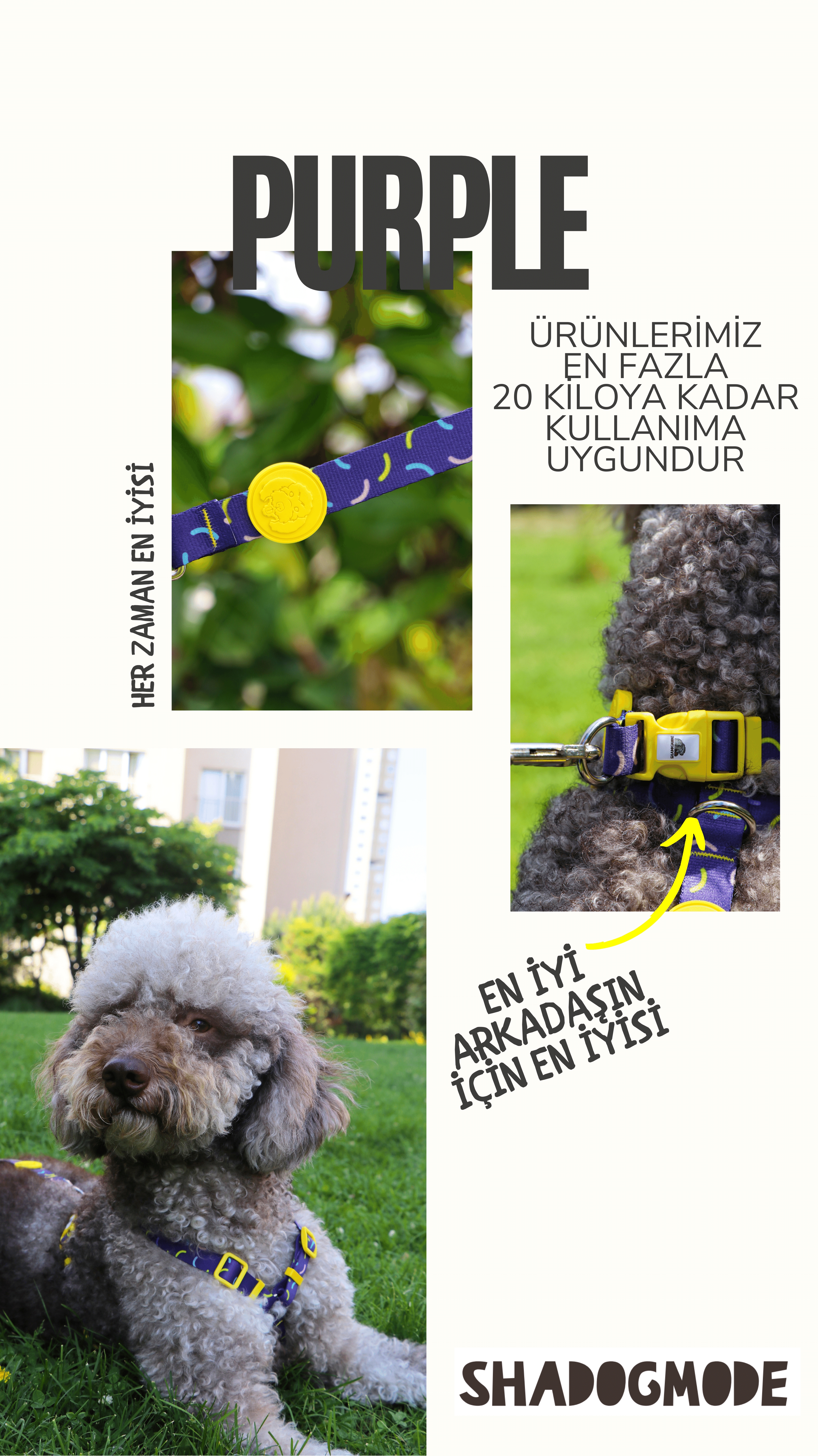 PURPLE%20TASMA%20SETİ