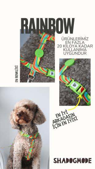 Köpek tasma seti