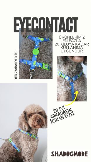 Köpek tasma seti